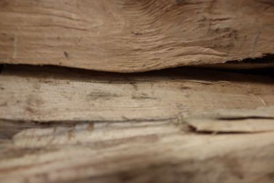Palette Kaminholz reine Buche im Karton (25 cm oder 33 cm Länge)