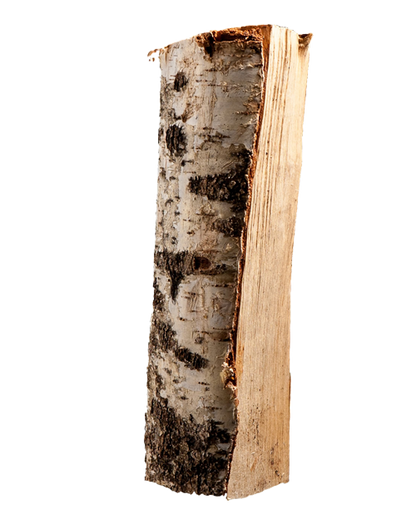 Birke - Brennholz