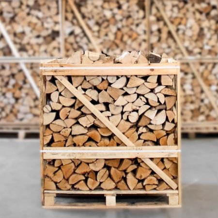 Esche - Brennholz